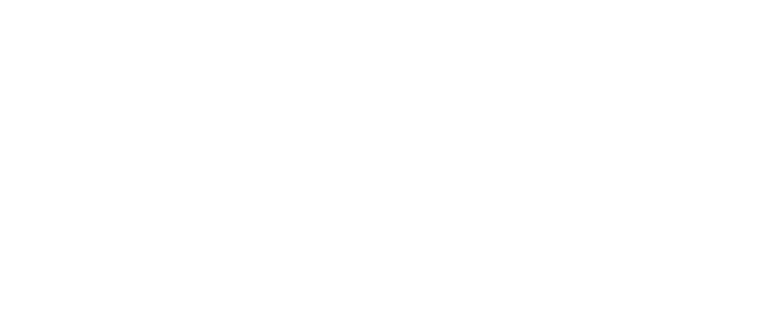 Ceneviz Grup